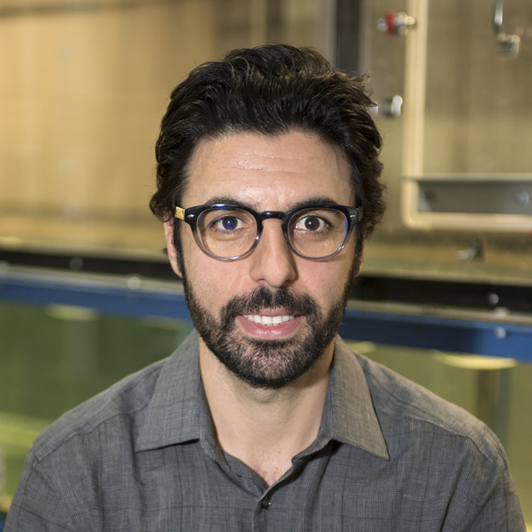 Vahidzadeh, Mohsen-web.jpg